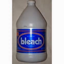 Can Bleach Be Used to Properly Clean up Mold