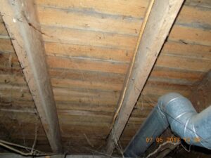 crawl space mold testing