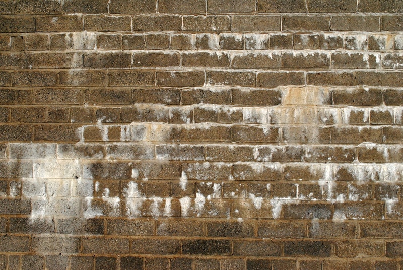 Spring into Undoing Winter Damage